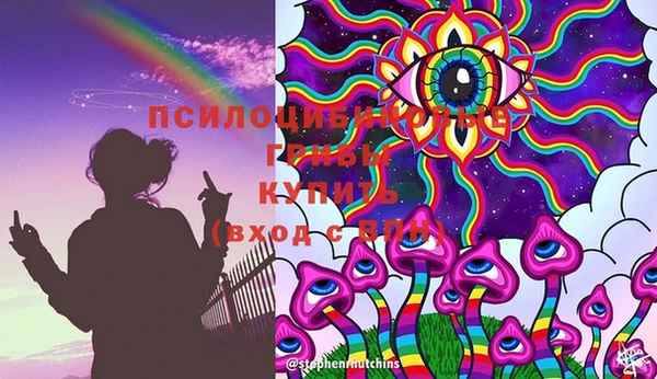 МДПВ Алексин