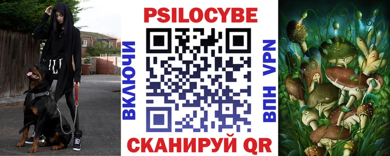 мега ссылка  Сортавала  Псилоцибиновые грибы мицелий 